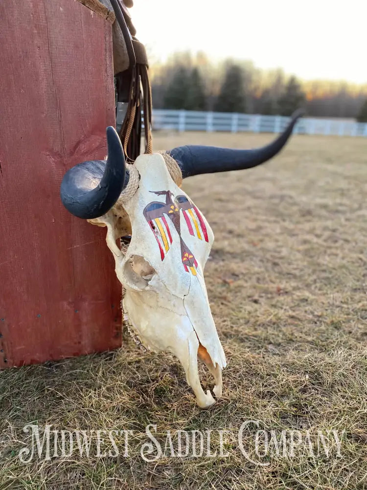 Western Steer Bull Skull With Hand-Painted Native American Thunderbird Artwork