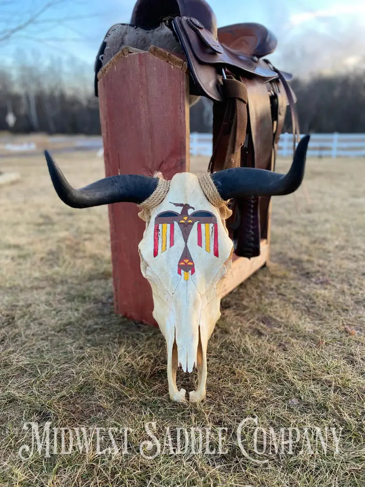 Western Steer Bull Skull With Hand-Painted Native American Thunderbird Artwork