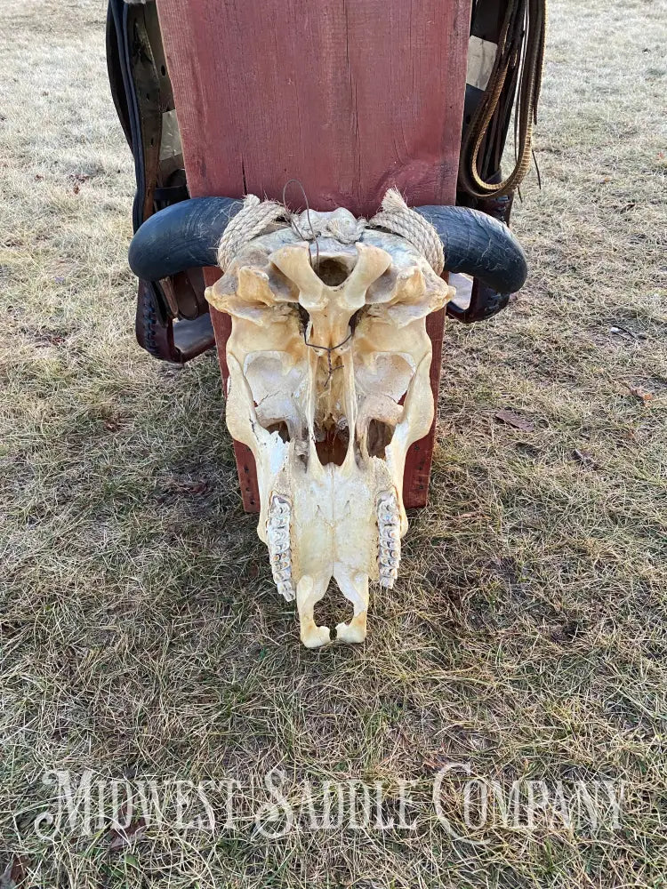 Western Steer Bull Skull With Hand-Painted Native American Thunderbird Artwork